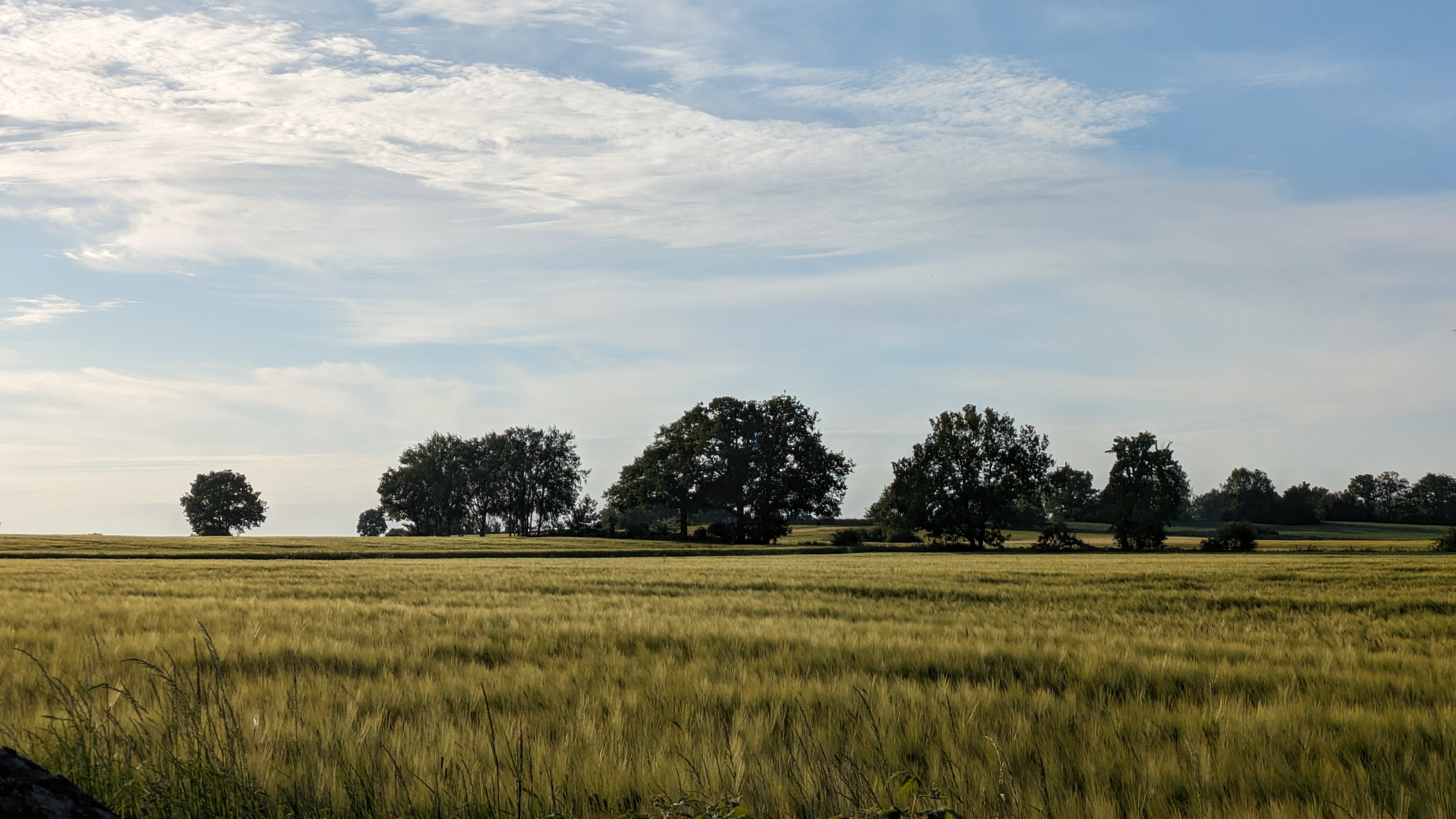 field